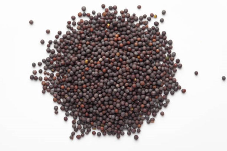 Seeds Image